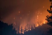 Forest Fire Detection System
